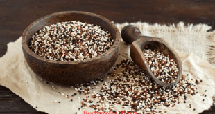 protein thực vật hạt diêm mạch quinoa
